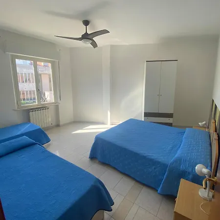 Life Apartment